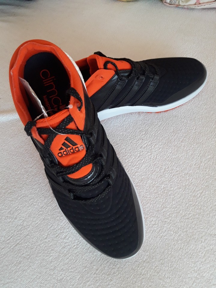 Adidas sonic boost